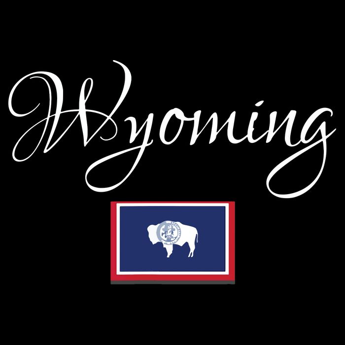 Wyoming Usa City Backpack