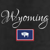Wyoming Usa Adult Drive Performance Visor