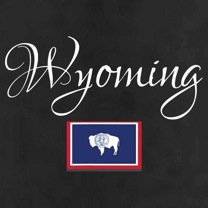 Wyoming Usa Adult Drive Performance Visor