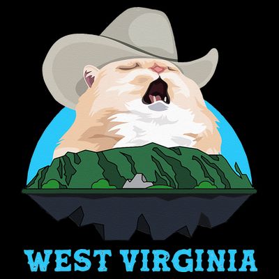 West Virginia Cowboy Cat Singing Meme Meowdy T-Shirt
