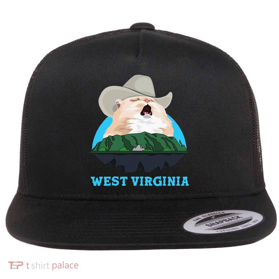 West Virginia Cowboy Cat Singing Meme Meowdy Flatbill Hat
