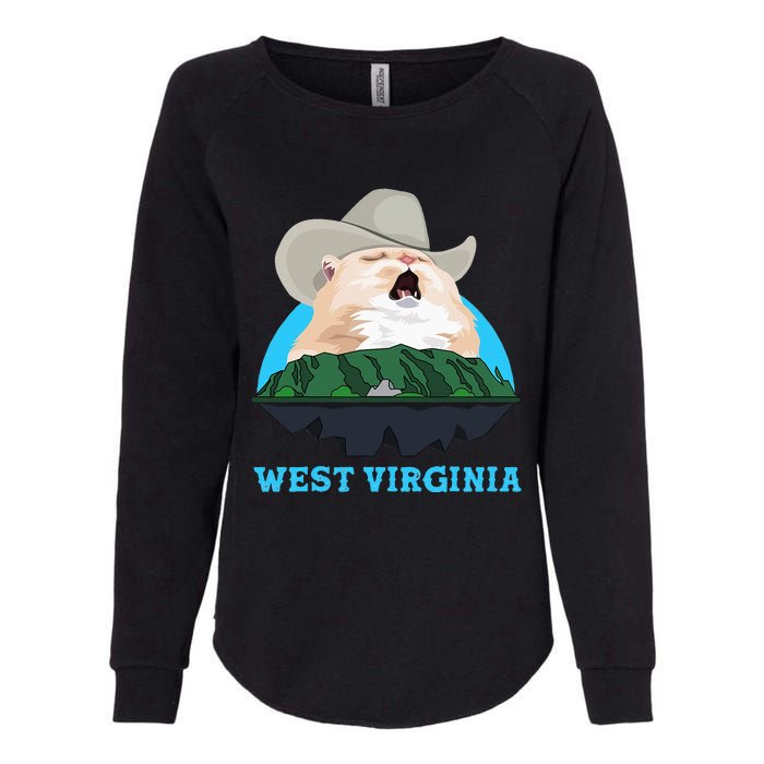 West Virginia Cowboy Cat Singing Meme Meowdy Womens California Wash Sweatshirt