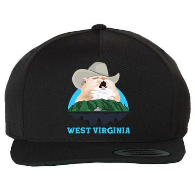 West Virginia Cowboy Cat Singing Meme Meowdy Wool Snapback Cap