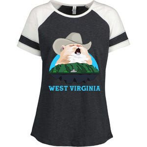 West Virginia Cowboy Cat Singing Meme Meowdy Enza Ladies Jersey Colorblock Tee