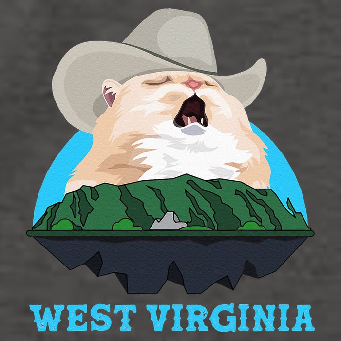 West Virginia Cowboy Cat Singing Meme Meowdy Vector Backpack
