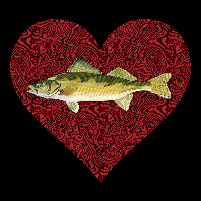 Walleye Valentines Day Fish Love Fingerprint Great Gift Bucket Hat