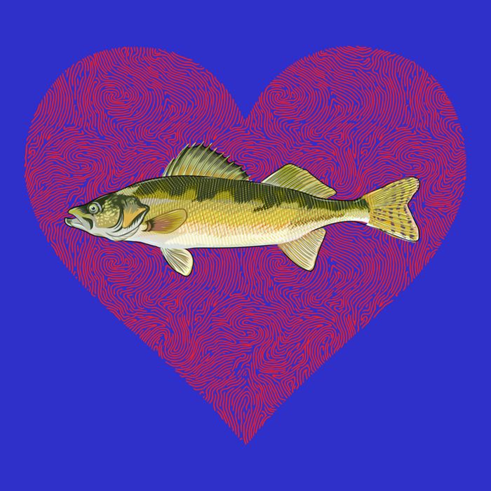 Walleye Valentines Day Fish Love Fingerprint Great Gift 16 in Basic Backpack