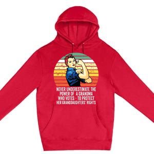 Who Votes To Protect Premium Pullover Hoodie