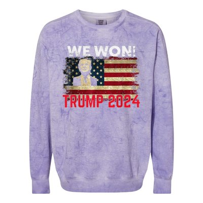 We Won 2024 Donald Trump Won 2024 Election Republican Win Colorblast Crewneck Sweatshirt