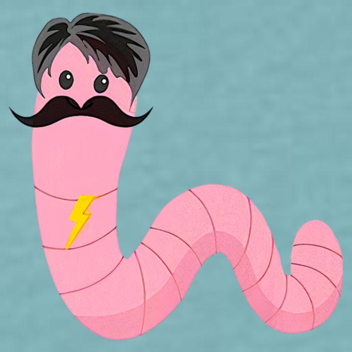 Worm With A Mustache James Tom Ariana Reality Sueded Cloud Jersey T-Shirt