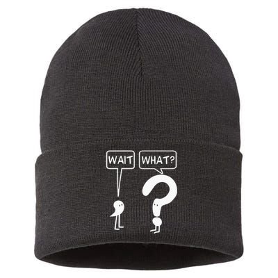 Wait, What Apostrophe Question Mark Funny English Teacher Sustainable Knit Beanie