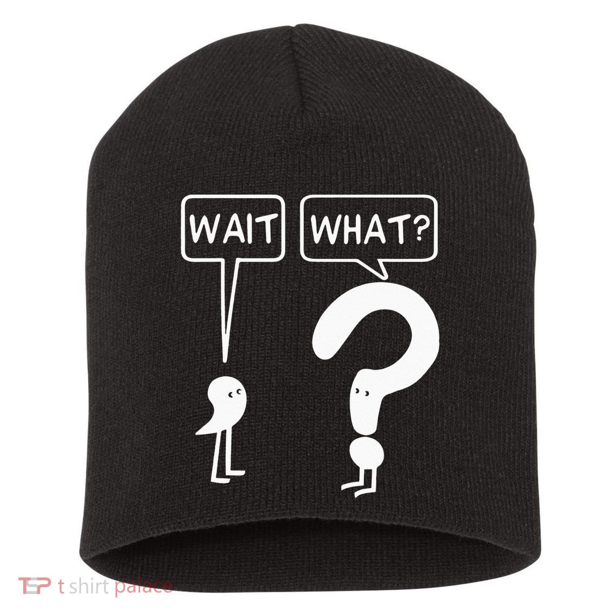 Wait, What Apostrophe Question Mark Funny English Teacher Short Acrylic Beanie