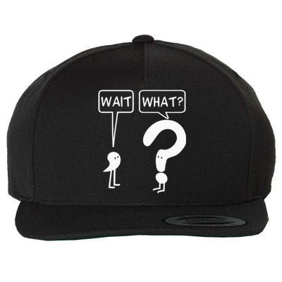 Wait, What Apostrophe Question Mark Funny English Teacher Wool Snapback Cap