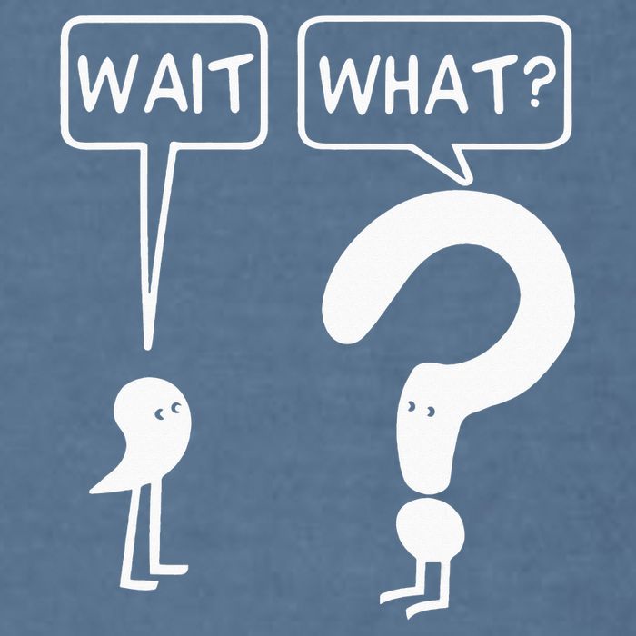 Wait, What Apostrophe Question Mark Funny English Teacher Garment-Dyed Sweatshirt