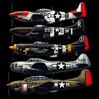 Ww2 Warplanes B 17 P51 Mustang F4u Corsair P40 Warhawk Premium T-Shirt