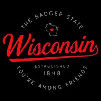 Wisconsin Wi Badger State YouRe Among Friends In Wisconsin T-Shirt