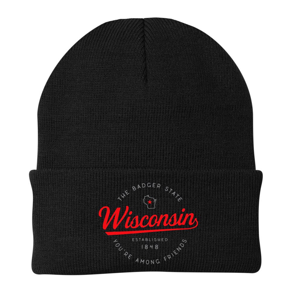 Wisconsin Wi Badger State YouRe Among Friends In Wisconsin Beanie