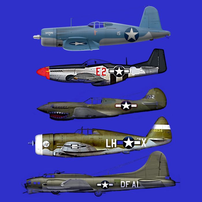 Ww2 Warplane Bgreat Gift17 P51 Mustang F4u Corsair P40 Warhawk Gift Premium T-Shirt
