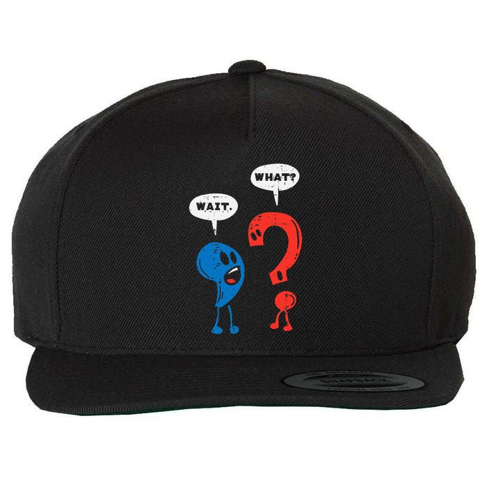 Wait What Comma Question Mark Reading Book Lover Teacher Wool Snapback Cap