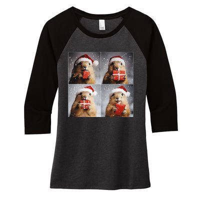 Winter Wonderland Christmas Prairie Dog Women's Tri-Blend 3/4-Sleeve Raglan Shirt