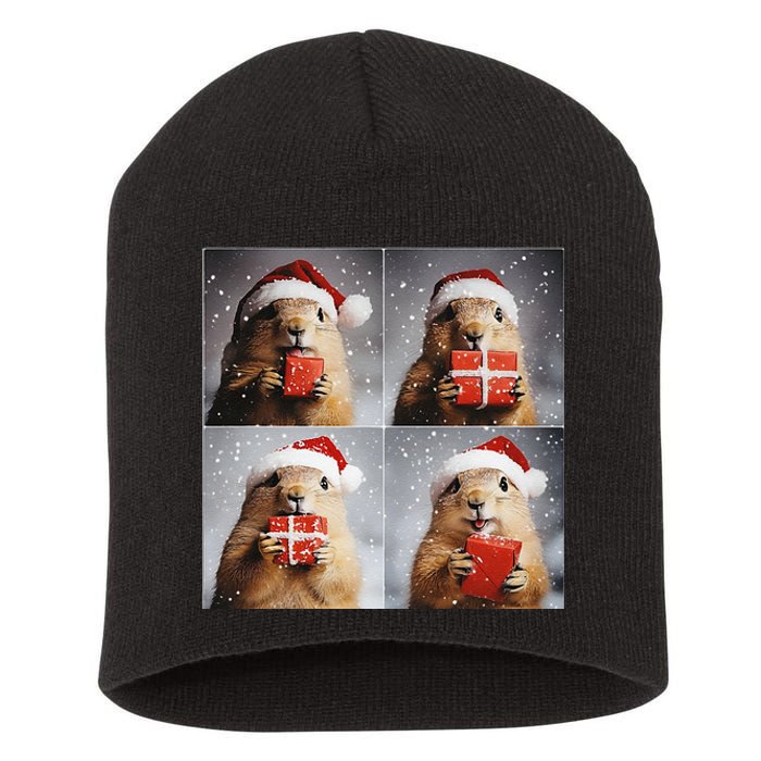 Winter Wonderland Christmas Prairie Dog Short Acrylic Beanie