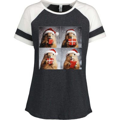 Winter Wonderland Christmas Prairie Dog Enza Ladies Jersey Colorblock Tee