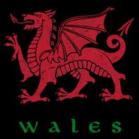 Wales Welsh Dragon Impact Tech Backpack
