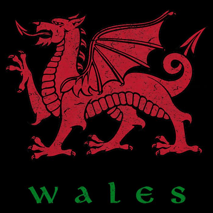 Wales Welsh Dragon Impact Tech Backpack