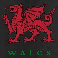 Wales Welsh Dragon 11oz C Handle Ceramic Mug