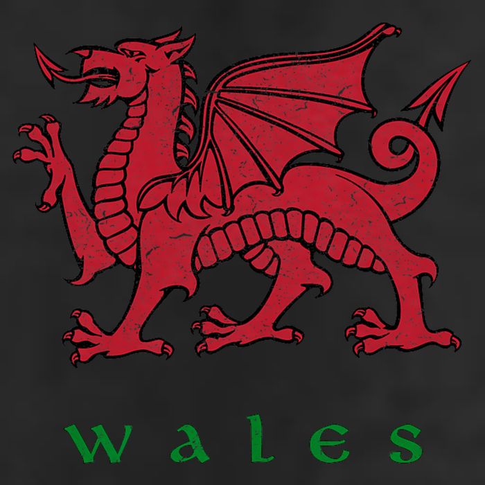 Wales Welsh Dragon 11oz C Handle Ceramic Mug
