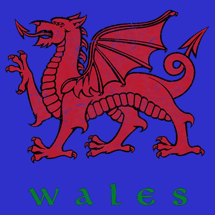 Wales Welsh Dragon Sweatshirt