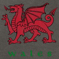 Wales Welsh Dragon Cotton Canvas Backpack