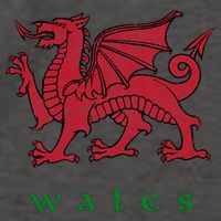 Wales Welsh Dragon Vector Backpack