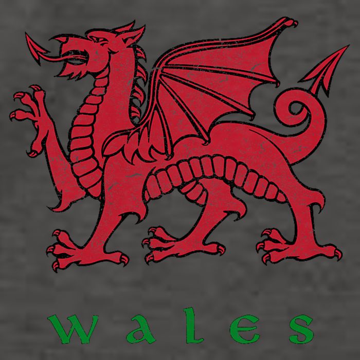 Wales Welsh Dragon Vector Backpack