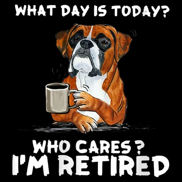 Womens What Day Is Today Who Care I'm Retired Funny Boxer Dog Bucket Hat