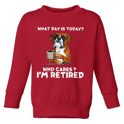 Womens What Day Is Today Who Care I'm Retired Funny Boxer Dog Toddler Sweatshirt