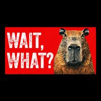 Wait What Funny Capybara T-Shirt