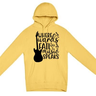 Where Words Fail Music Speaks Great Gift Musical Music Notes Musician Gift Premium Pullover Hoodie