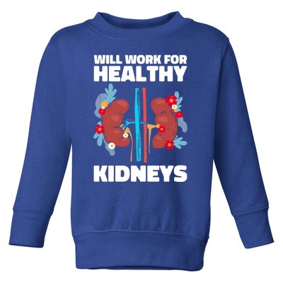 Will Work For Healthy Neys Nephrology Transplant Surgeon Cute Gift Toddler Sweatshirt