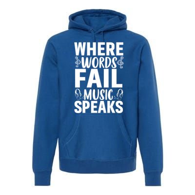 Where Words Fail Music Speaks Cute Gift Musical Music Notes Musician Gift Premium Hoodie