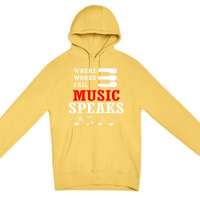 Where Words Fail Music Speaks Gift Premium Pullover Hoodie