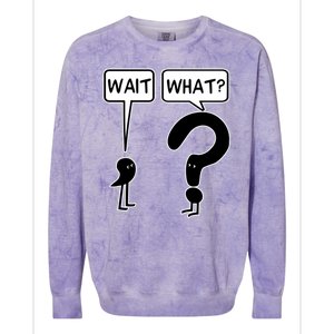 Wait What Funny Grammar Questioning Punctuation Colorblast Crewneck Sweatshirt