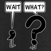 Wait What Funny Grammar Questioning Punctuation 7 Panel Mesh Trucker Snapback Hat