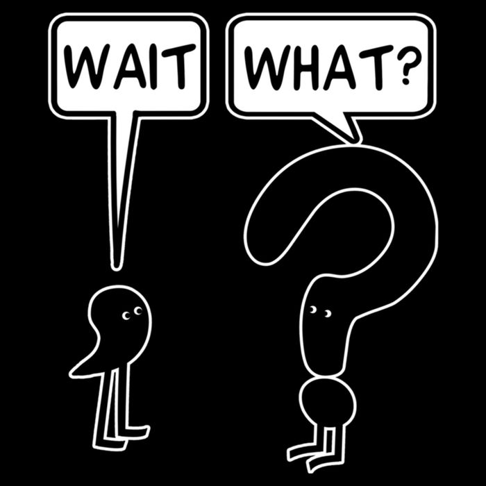 Wait What Funny Grammar Questioning Punctuation 16 in Basic Backpack