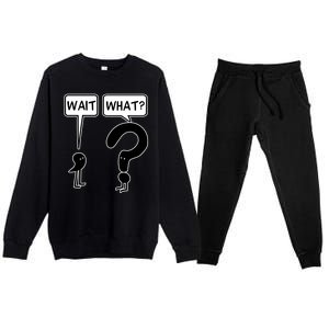 Wait What Funny Grammar Questioning Punctuation Premium Crewneck Sweatsuit Set