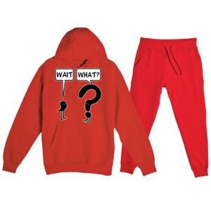 Wait What Funny Grammar Questioning Punctuation Premium Hooded Sweatsuit Set