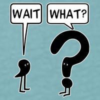 Wait What Funny Grammar Questioning Punctuation Sueded Cloud Jersey T-Shirt