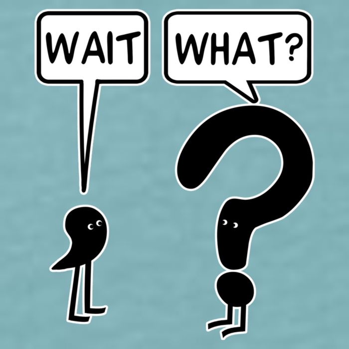 Wait What Funny Grammar Questioning Punctuation Sueded Cloud Jersey T-Shirt