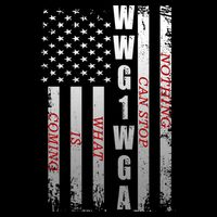 WWG1WGA Nothing Can Stop What Is Coming 7-Panel Snapback Hat