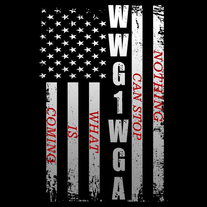 WWG1WGA Nothing Can Stop What Is Coming 7-Panel Snapback Hat